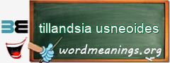 WordMeaning blackboard for tillandsia usneoides